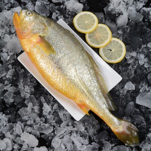 Замороженные морепродукты, замороженная большая жёлтая рыба, 1,5 кг на 0,5 кг