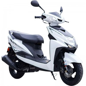 Motorcycle, motorcycle, fuel powered motorcycle, pedal motorcycle