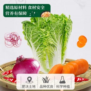 овощные консервы, готовые закуски, готовые к приготовлению на открытом воздухе, удобные для овощей салат соленые овощи
