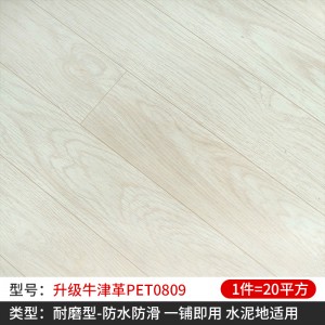 обновление Оксфорда PET0809 (20 кв.