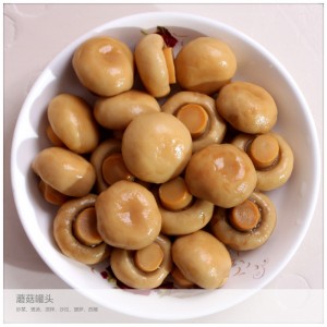 草蘑菇口蘑罐头 食用菌罐头