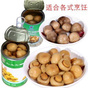 草蘑菇口蘑罐头 食用菌罐头