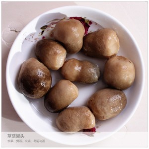 草蘑菇口蘑罐头 食用菌罐头