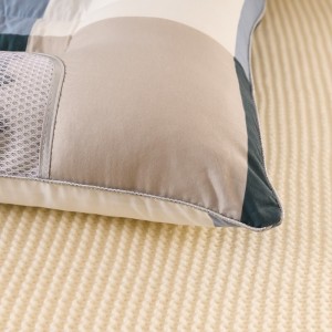 Pillow core cassia seed buckwheat sleep cervical vertebra pillow household magnet