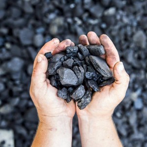 Indonesian steam coal, low sulfur coal, smokeless steam coal