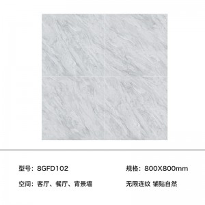 8GFD102