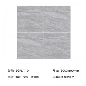 8GFD110