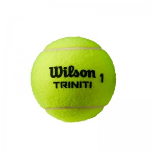전문 테니스 부품 전장에서 공으로 미국 테니스 호주오픈 전문 시합으로 테니스 3알 조련 