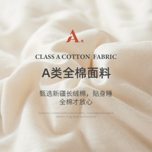 Xinjiang cotton quilt thickened quilt warm cotton quilt