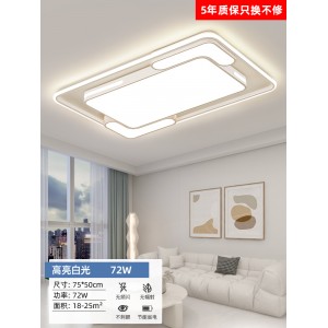横线水母75*50cm白光72W