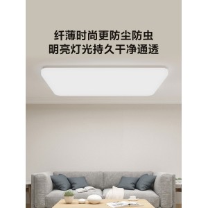 吸顶灯 简约现代 卧室 客厅 过道 阳台 智能LED
