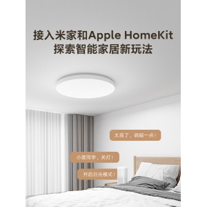 吸顶灯 简约现代 卧室 客厅 过道 阳台 智能LED